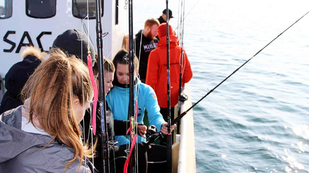 Freshly caught cod on the deck of a small boat on a traditional sea fishing tour from Reykjavik harbour, Iceland